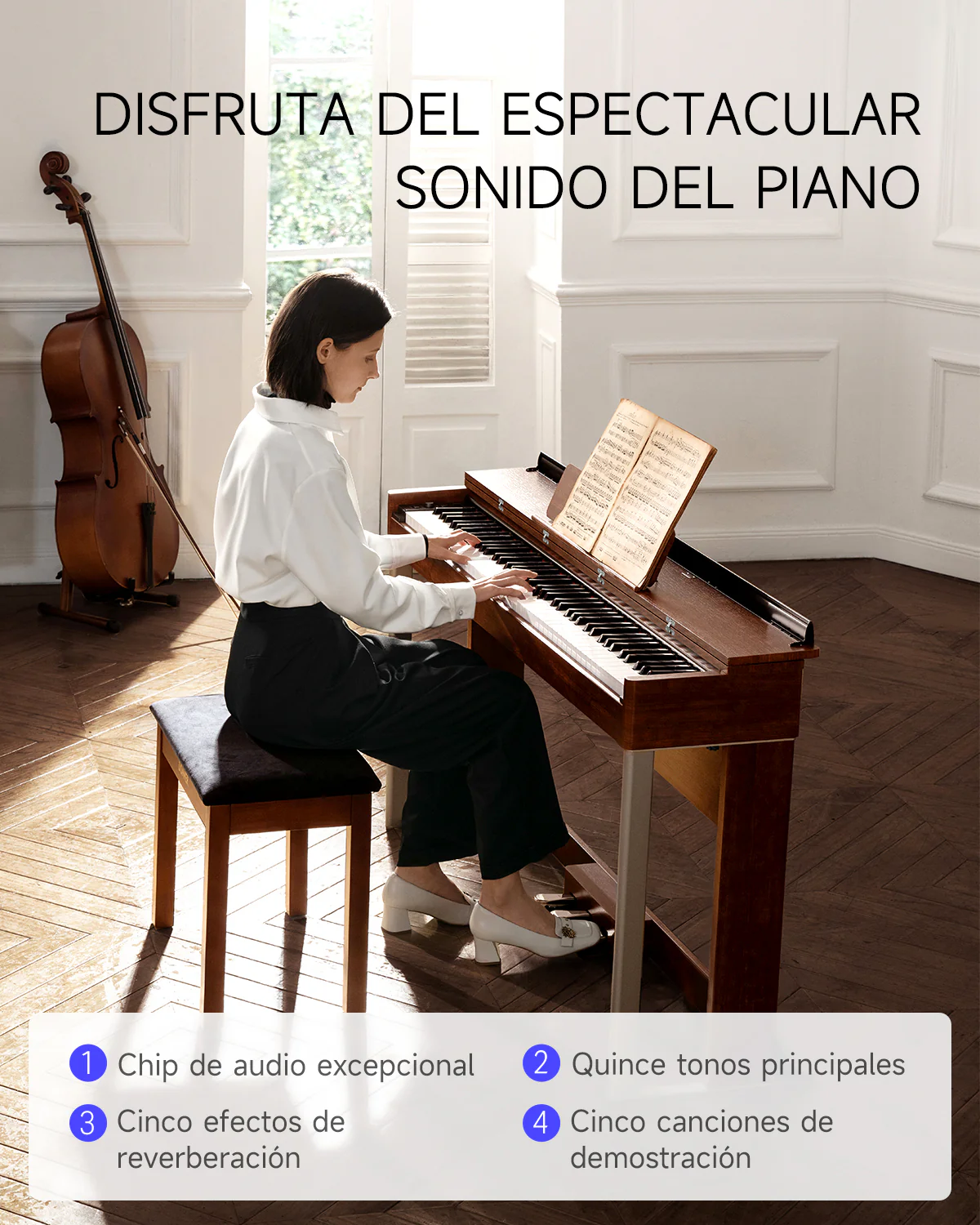 Miniatura 29