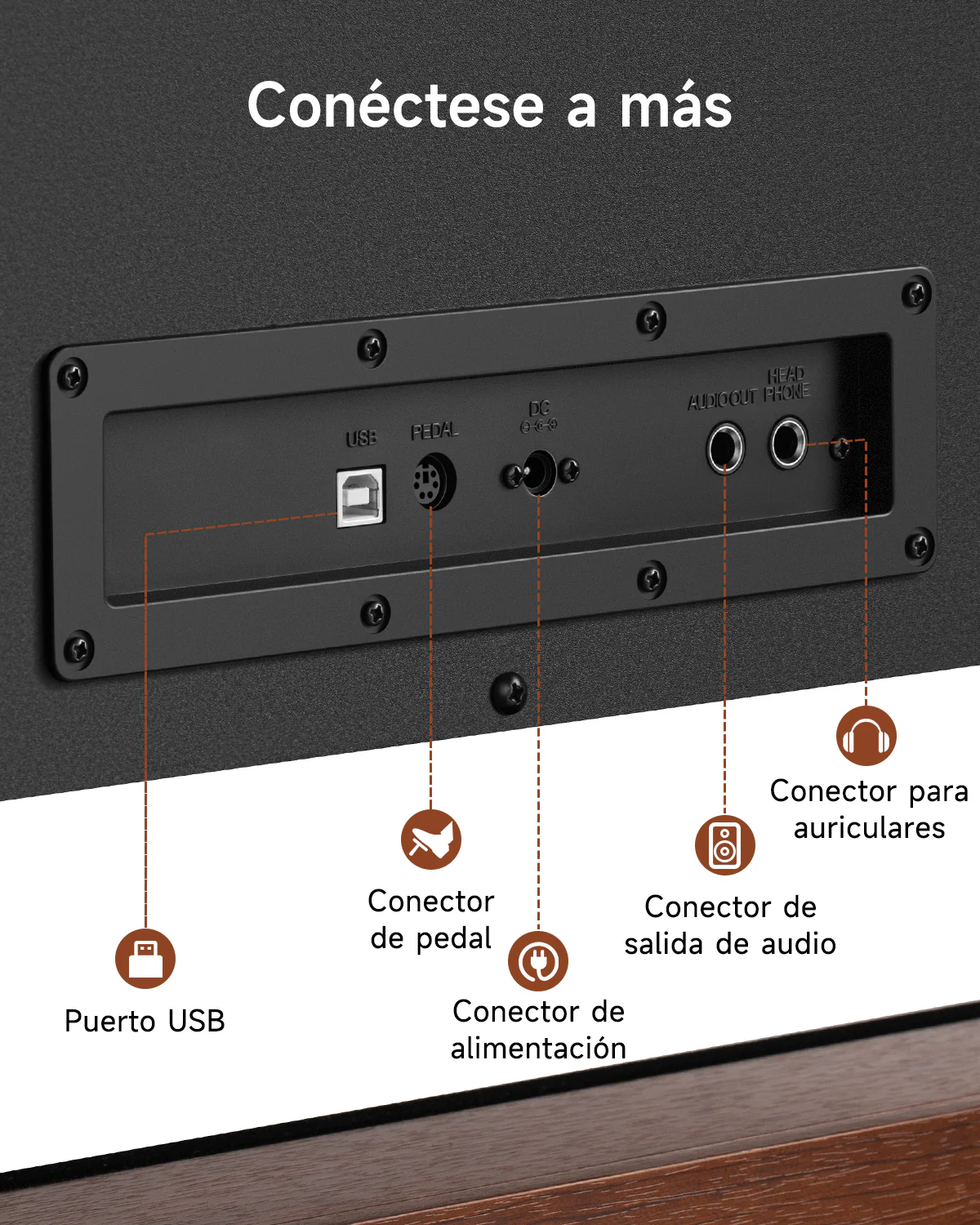 Miniatura 23