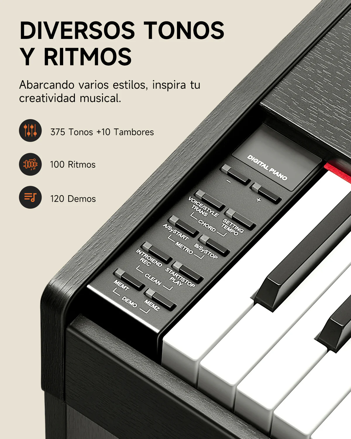 Miniatura 11