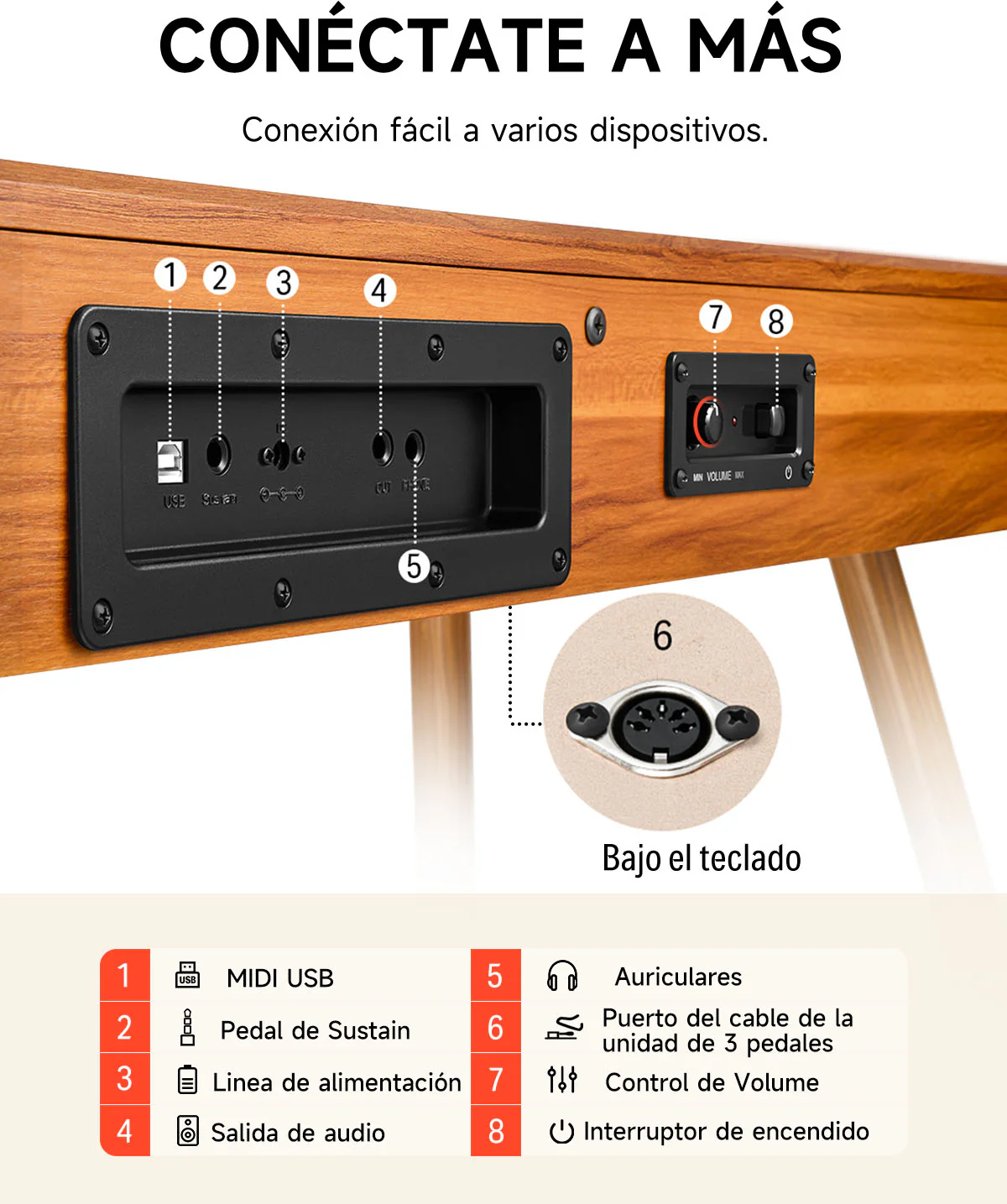 Miniatura 38