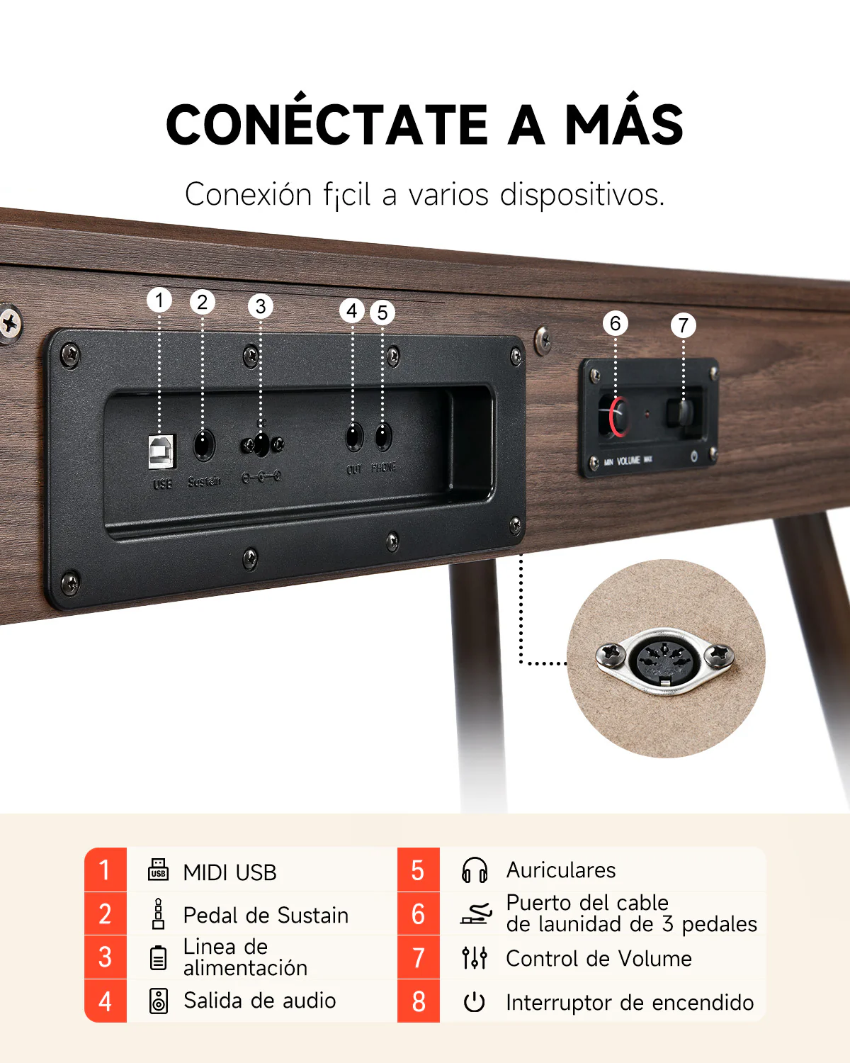 Miniatura 43