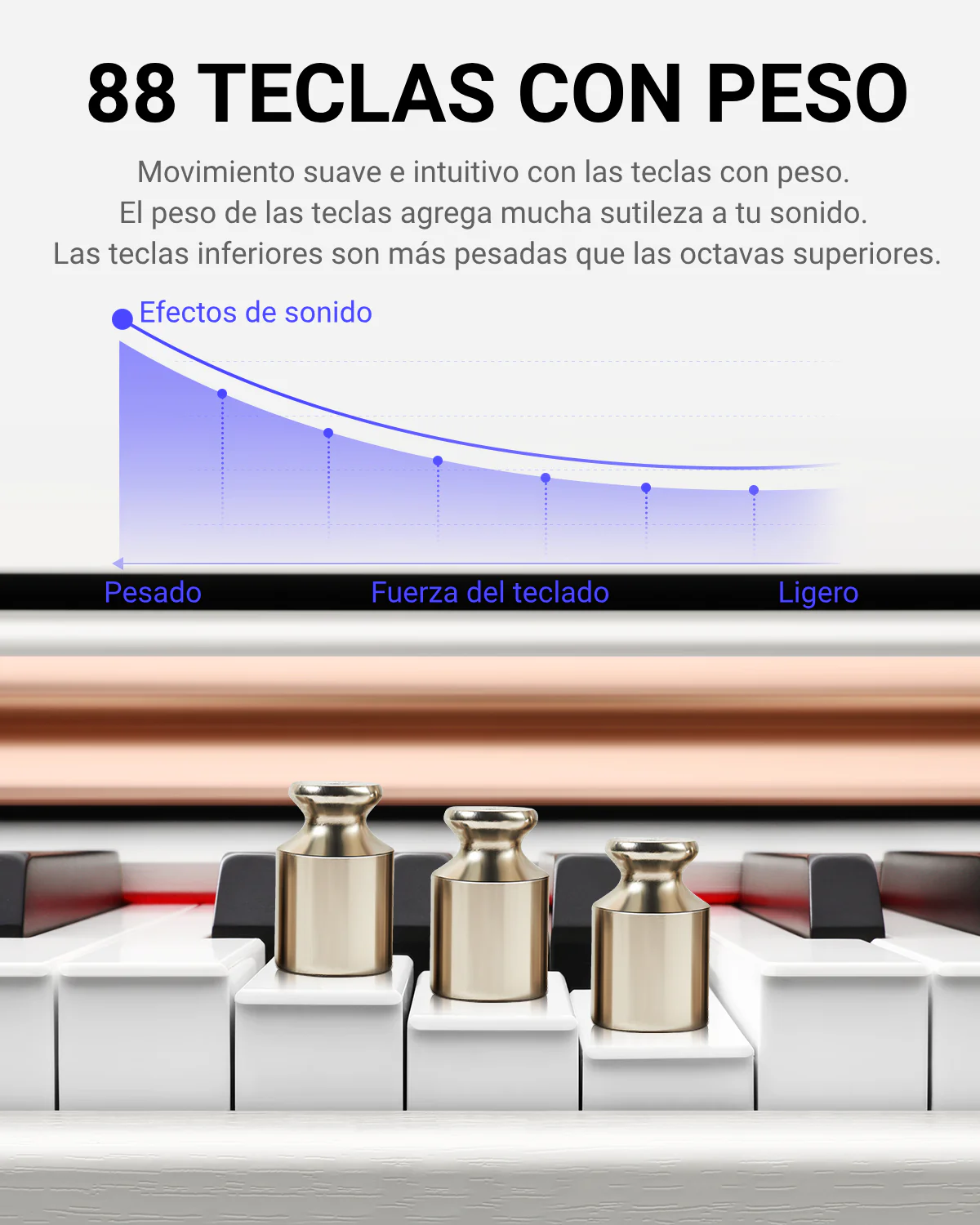 Miniatura 11