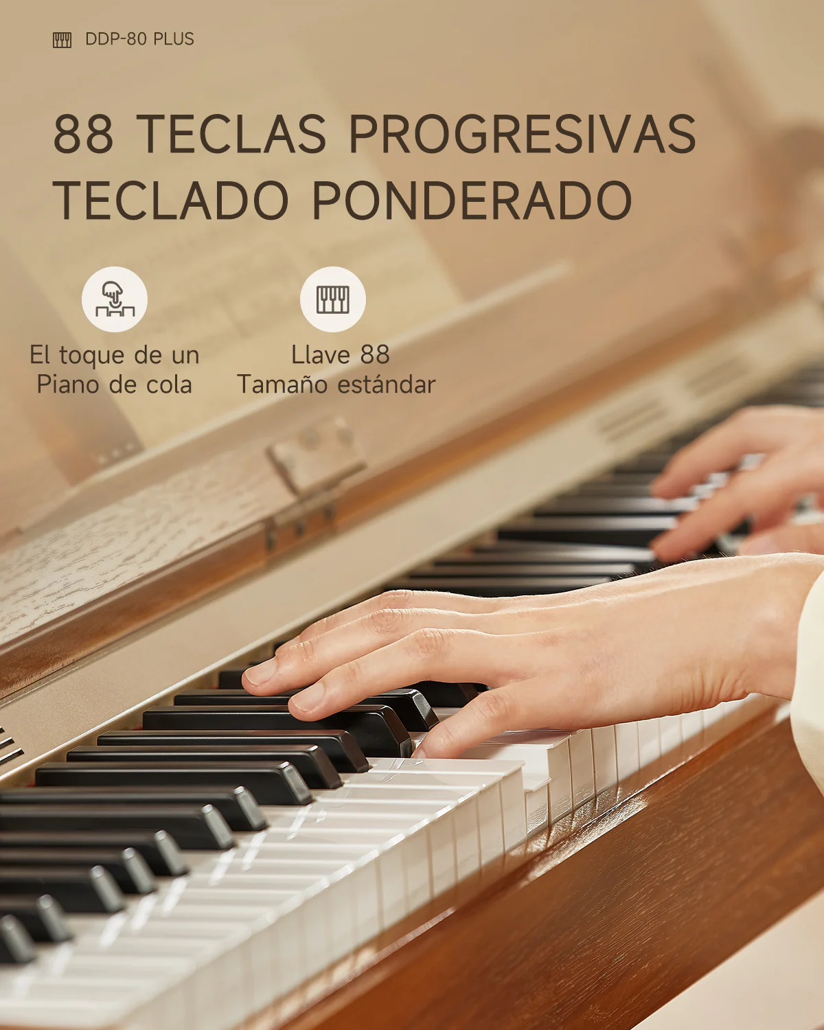 Miniatura 16