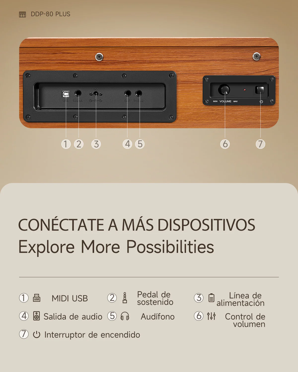Miniatura 17